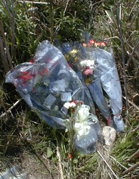 [Bouquets in field]