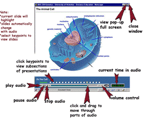 [Model page in Biology 239]