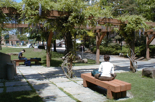 [Wisteria on the trellis]