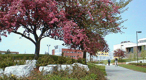 [Main entrance and co-op building]