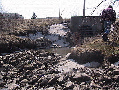 [Rocks in creek bed]