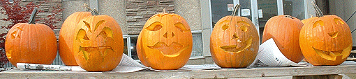 [Jack-o'-lanterns in a row]