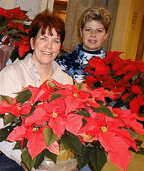 [Pink and red plants]