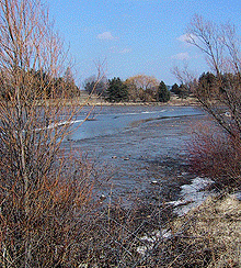 [Rock, trees, sky and water]