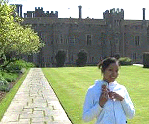 [Green grass, paving stones, battlements]