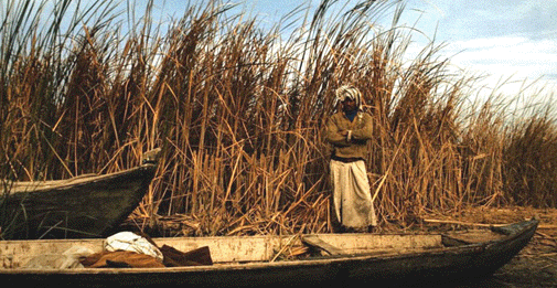 [Tall reeds, low boat]