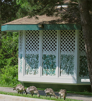 [Gazebo with latticework and mural]