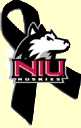 [NIU Huskie with black ribbon]