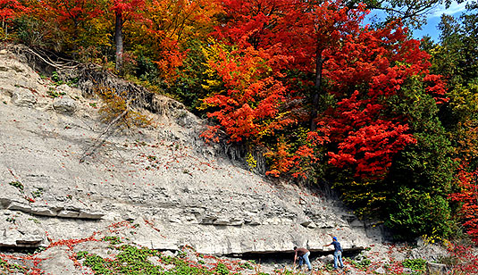 [Spectacular reds and yellows]