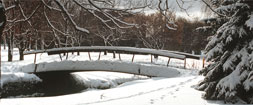 [Bridge with snow]