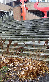 [Traces of white on steps and weeds]