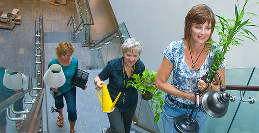 [Carrying plants up the stairs]