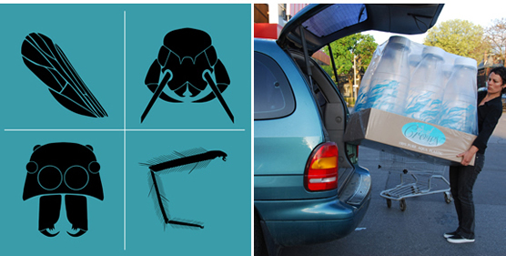 A graphic depicting insect body parts and a woman loading a giant six-pack of water bottles into the back of a minivan.