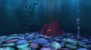 Jessica Jamieson's undersea image of a small fish.