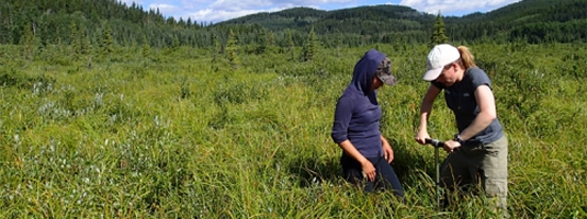 Two researchers dig a sample in a peat bog.