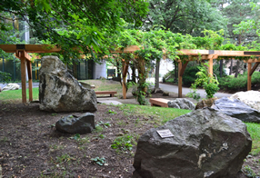 The Peter Russell Rock garden.