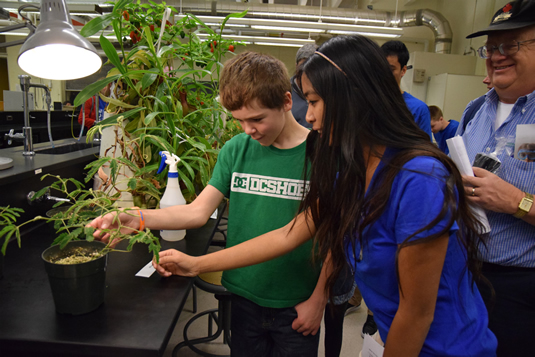 People examine plants at the Science Open House.